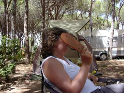 bild 246